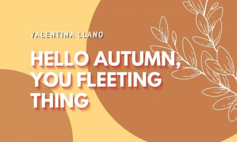 Hello Autumn, you fleeting thing