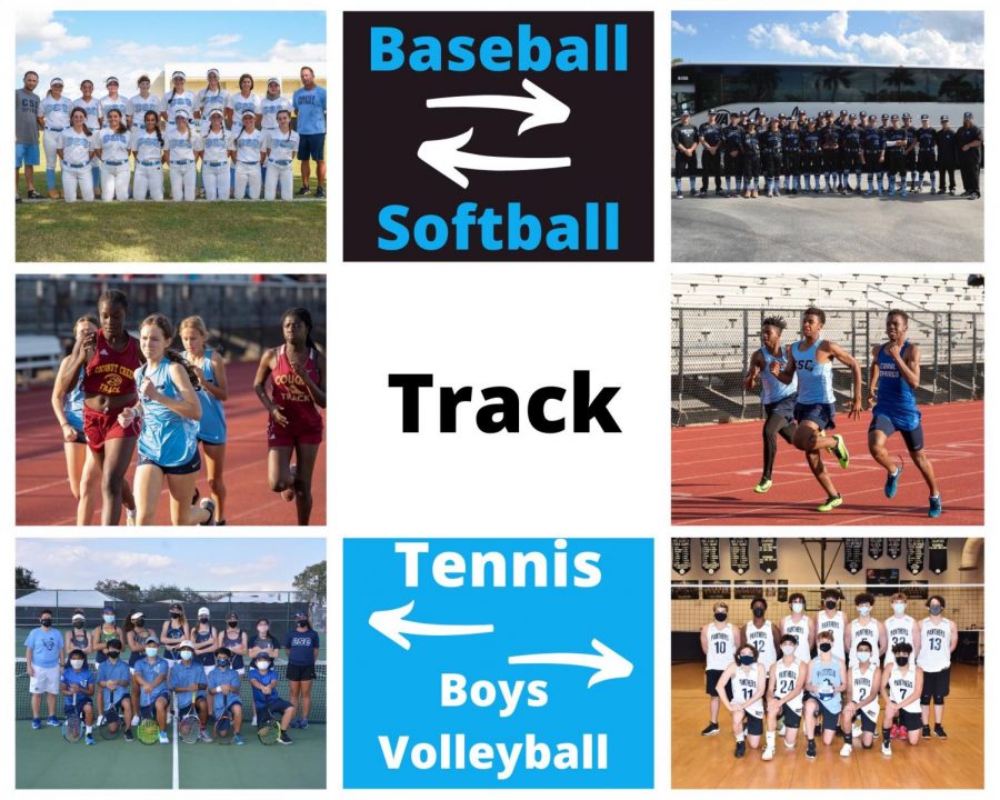 Spring Sports on the Rise