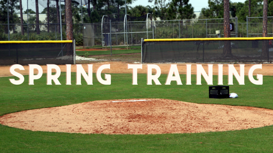Spring Training: the MLB season opens