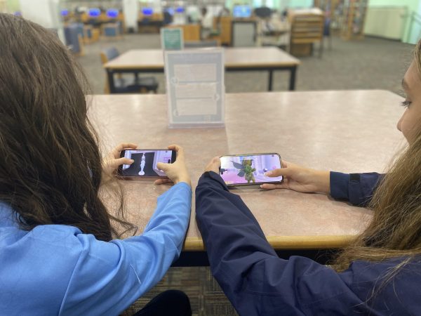 These are two Charter School Students playing the recently went viral game, Dress to Impress in the library. 