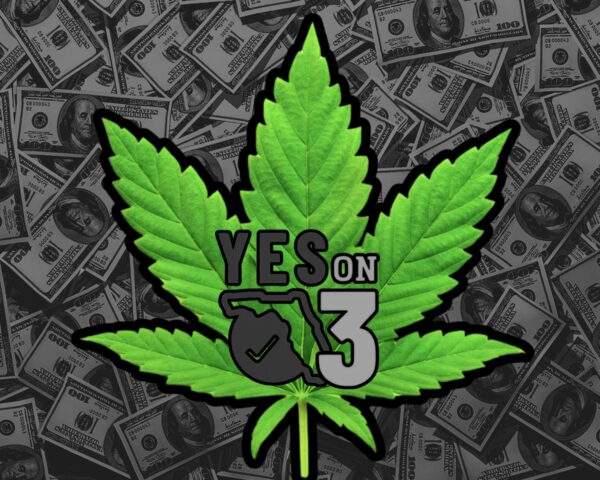 A marijuana plant with the words “Yes on 3”.