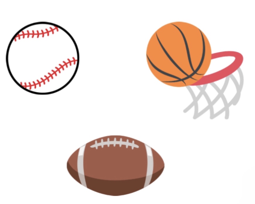 Different types of sports balls.