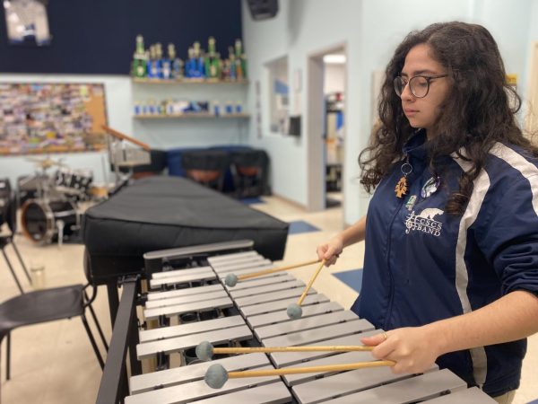 Junior Amar Shatila is playing the marimba to practice and improve her skills.