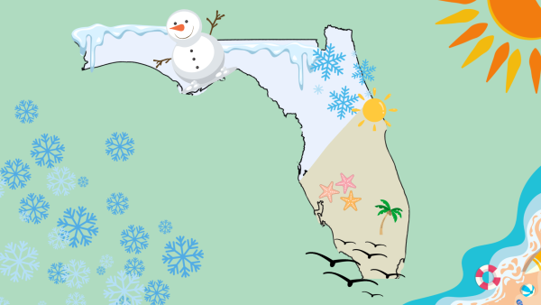 Snow in Florida: a Sign for Climate Change