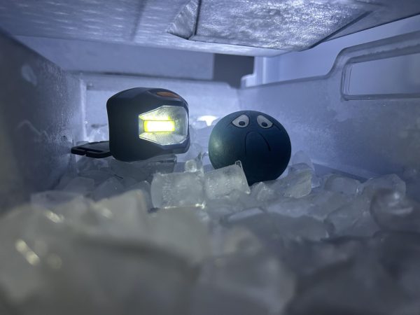 You let winter die