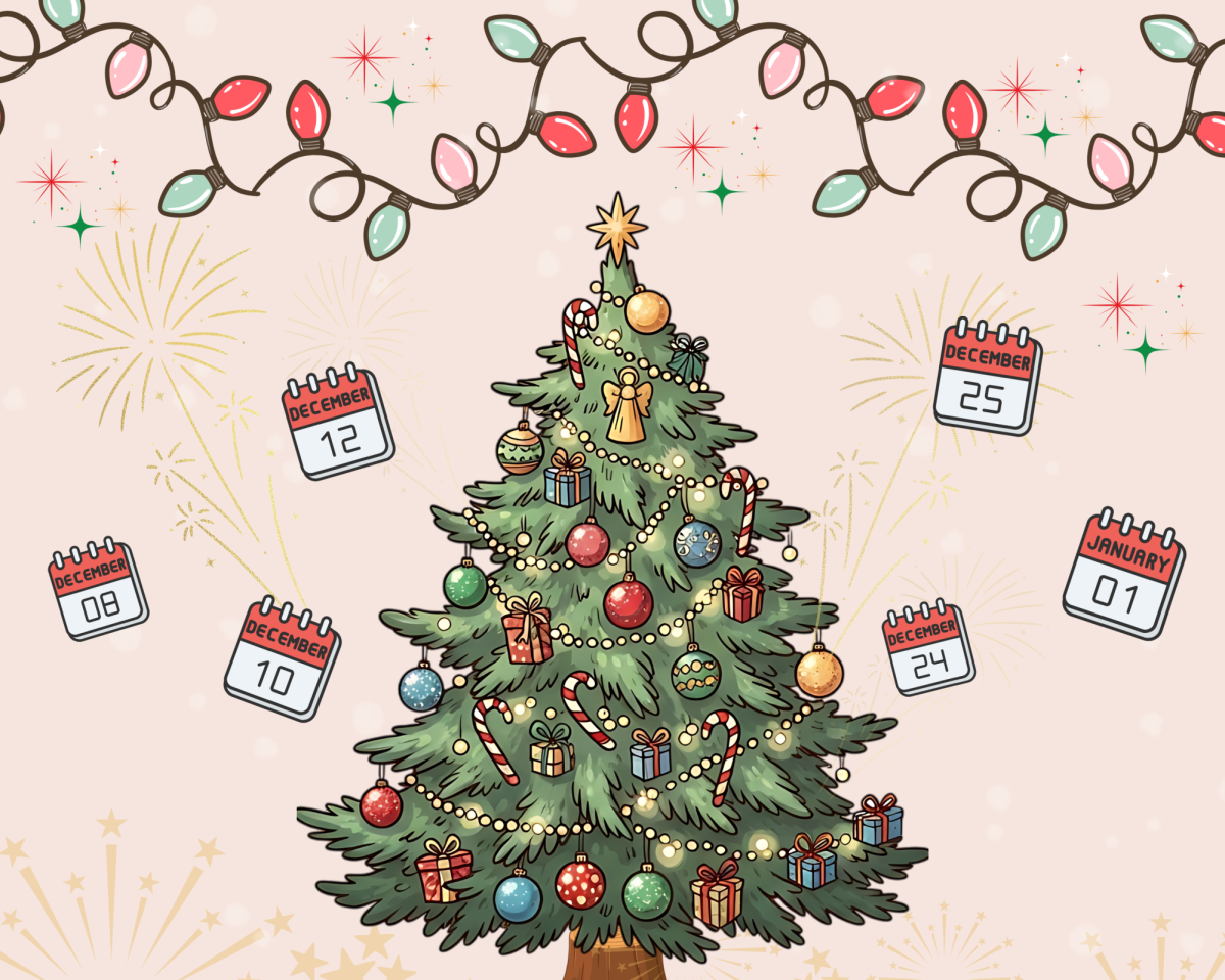 The 365-Day Countdown: Christmas to New Year's in Florida