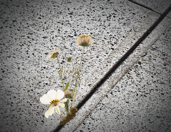 Rupture