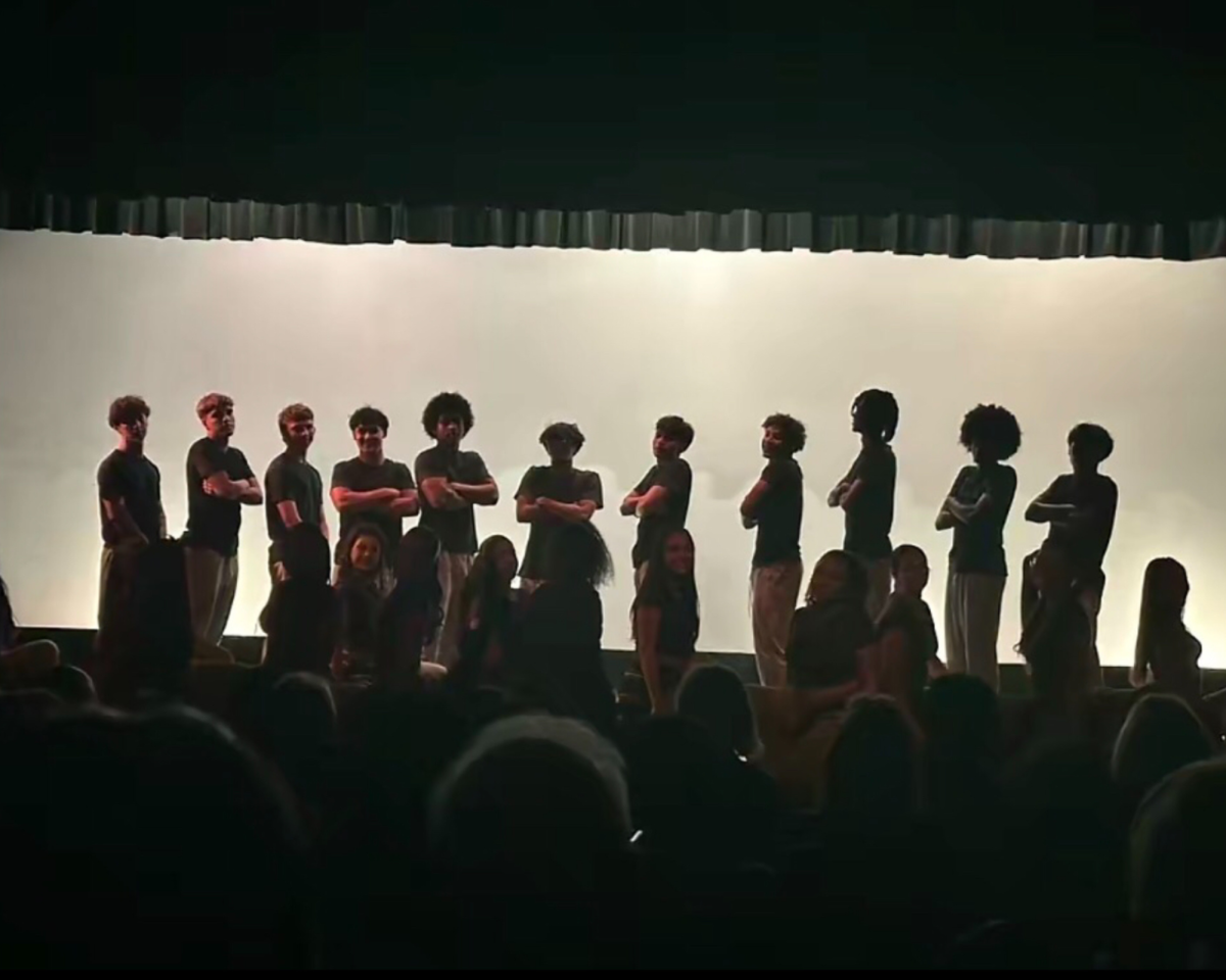 Boys performance at the dance concert.