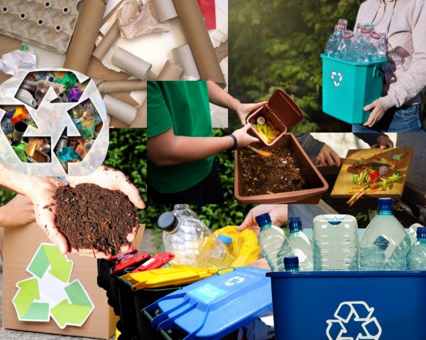 Feed the Earth, Not the Machine: Why Composting is Better Than Recycling